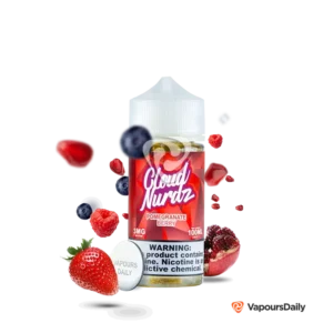 خرید جویس انار تمشک بلوبری کلود نوردز (100میل) CLOUD NURDZ POMEGRANATE BERRY
