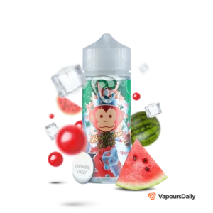 جویس آدامس بادکنکی هندوانه یخ DR.VAPES BUBBLEGUM KINGS WATERMELON ICE 120ML