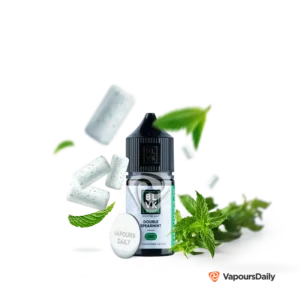 سالت بی ال وی کی نعناع یخ (30 میل) BLVK MINT DOUBLE SPEARMINT