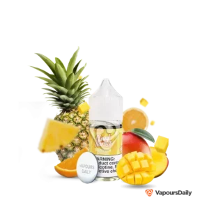 سالت کلود نوردز آناناس انبه (30میل) CLOUD NURDZ PINEAPPLE MANGO