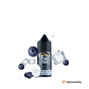 سالت پاد سالت بلوبری یخ POD SALT BLUE ICE