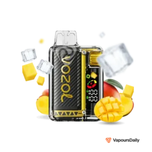 mango-ice