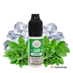 سالت دینرلیدی نعناع یخ DINNER LADY MINT MENTHOL