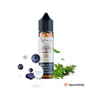 جویس رایپ ویپز بلوبری نعناع RIPE VAPES BLUEBERRY MINT