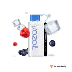 blueberry-raspberry-ice