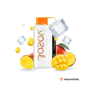 mango-ice