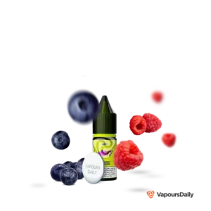 سالت بلوبری تمشک نستی (10میل) NASTY LIQ BLUEBERRY RASPBERRY