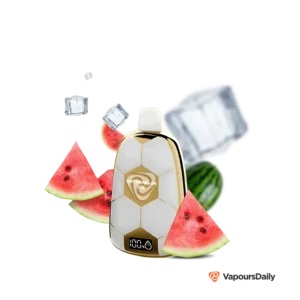 watermelon-ice