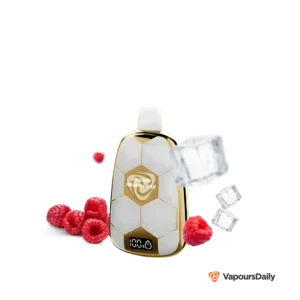 raspberry-ice