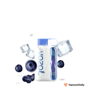 blueberry-ice