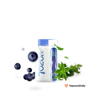 blueberry-mint