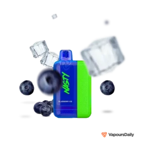 blueberry-ice